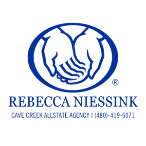 rebecca niessink